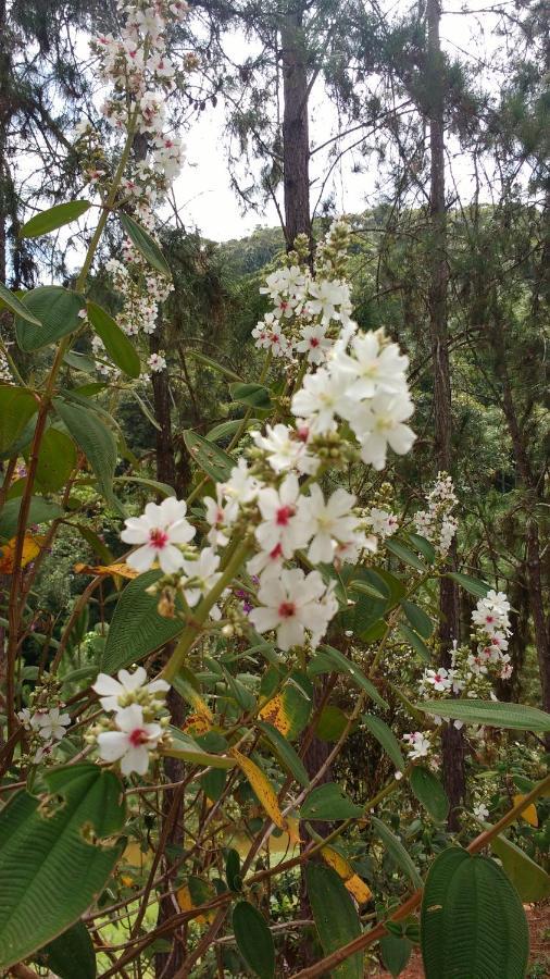 Sitio Cachoeirinha - Araguaia Marechal Floriano Kültér fotó